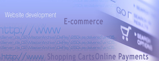 Our ecommerce website designs will enable you to run an ecommerce website on the internet in a user friendly manner with a shopping cart ecommerce website design. Our affordable ecommerce website designs will enable you to get your ecommerce website up and running with the minimum amount of design time and with maximum amount of returns from ecommerce website designs.