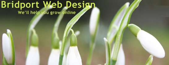 Bridport UK Web Design is a uk website design company tailored to meet the requirements of every business web design solutions in the uk. As uk website designers we are specialised in uk website design and development for large, medium or small scale business, no matter what your business is or services it provides we can give you a solution that will work for you.