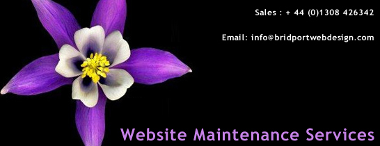 With every Web site there will always be a need for website management and maintenance. Bridport Web Designers uk can offer you a affordable ways to keep your web site well maintained and fresh with our website maintenance services, whether it's a image or a whole page contents.